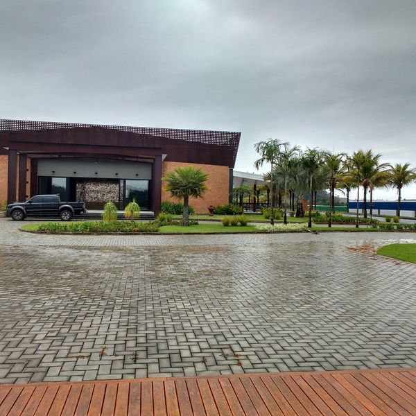 Área de entrada com palmeiras e paisagismo