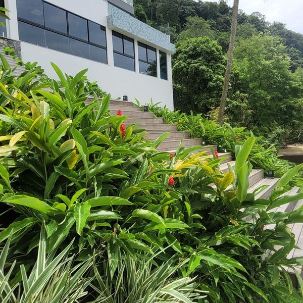 Canteiros e deck integrados à paisagem