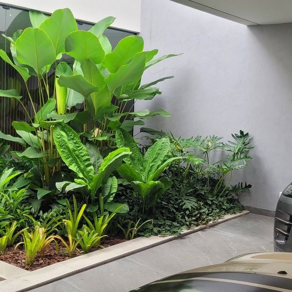Jardim interno com folhagens tropicais